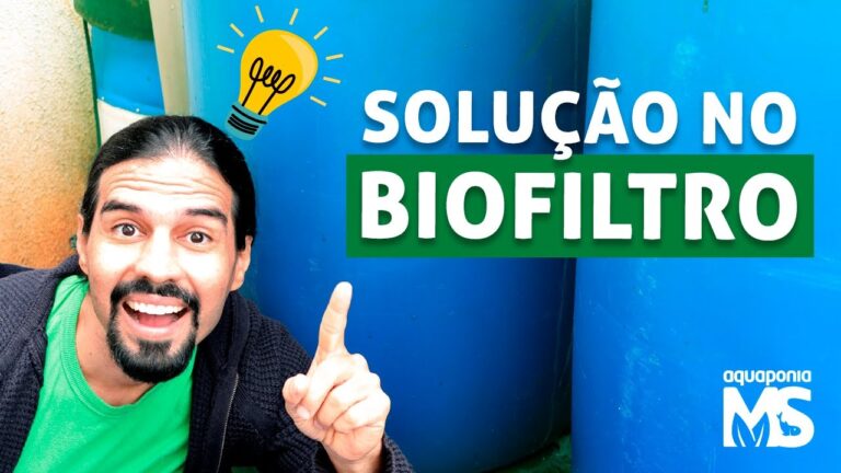 O Papel do Separador na Biologia: Uma An&aacute;lise Concisa