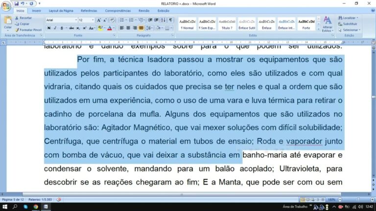 Normas para Elabora&ccedil;&atilde;o de Relat&oacute;rios: Guia de Boas Pr&aacute;ticas