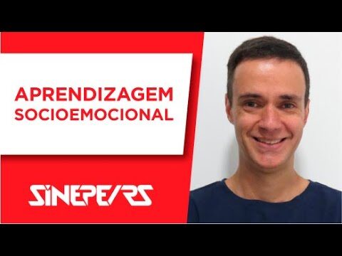A import&acirc;ncia da aprendizagem socioemocional na escola