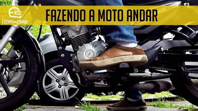 Leitor de ENC: Guia otimizado para navega&ccedil;&atilde;o segura