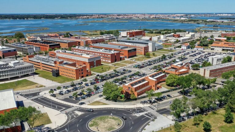 Otimizando a Gestão da UA: Estratégias Eficientes