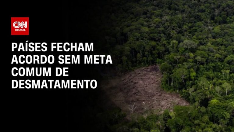 Meta comum: Estratégias para Alcançar o Sucesso
