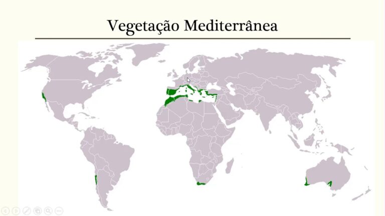 Mapa da Europa: Guia Completo e Atualizado