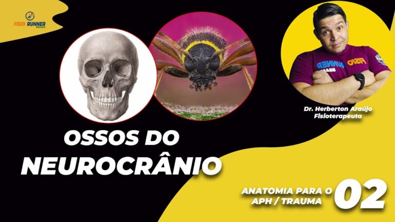 Entidade 11412: O Papel Fundamental no Desenvolvimento Social