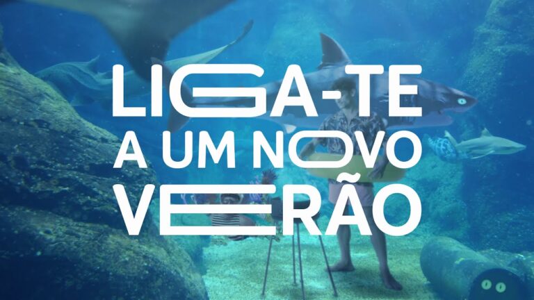 Guia para Escolher o Melhor PC Port&aacute;til para Mim